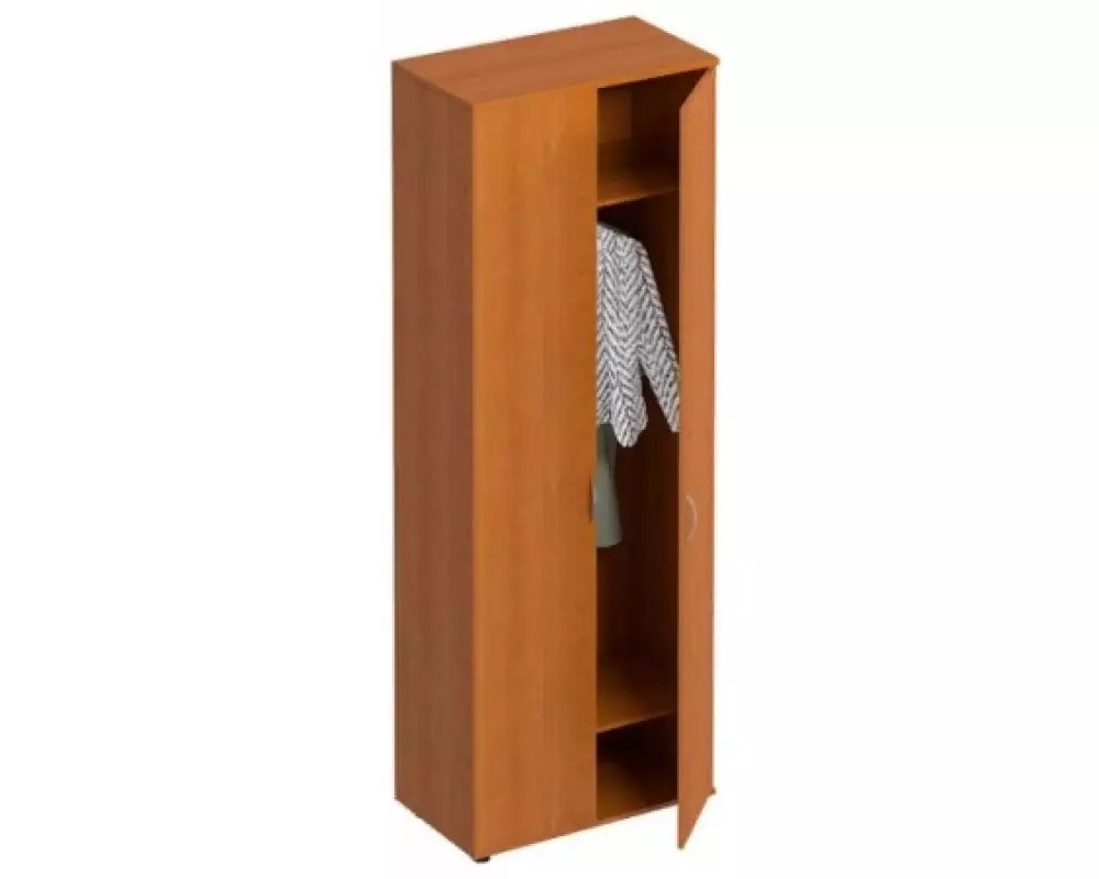 Шкаф для одежды ФР307 (80x45x219)