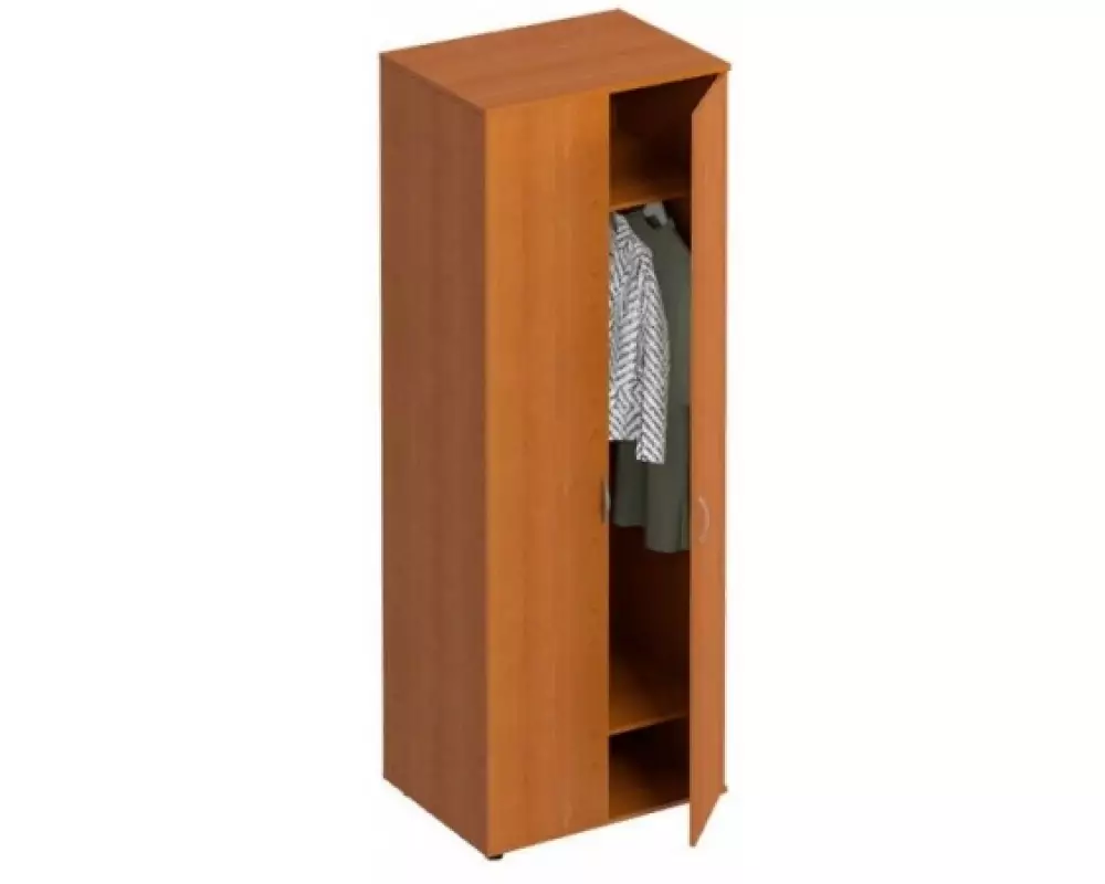 Шкаф для одежды глубокий ФР311 (80x60x219)